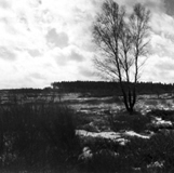 Bilder/HohesVenn3_li.jpg