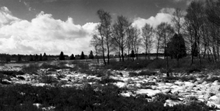 Bilder/HohesVenn3_mi